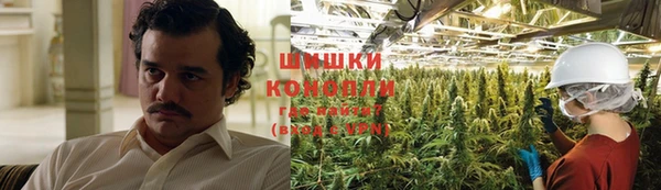 прущая мука Алзамай