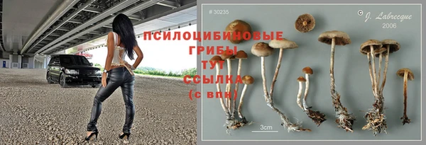 spice Алексин