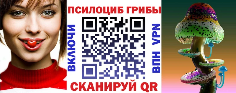 это клад  OMG ONION  Махачкала  где купить наркоту  Псилоцибиновые грибы Psilocybe 