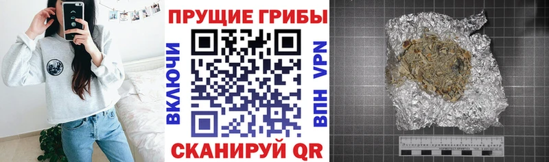 Псилоцибиновые грибы прущие грибы Махачкала